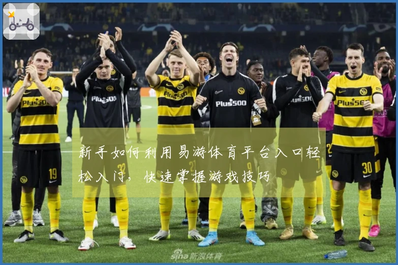 新手如何利用易游体育平台入口轻松入门，快速掌握游戏技巧