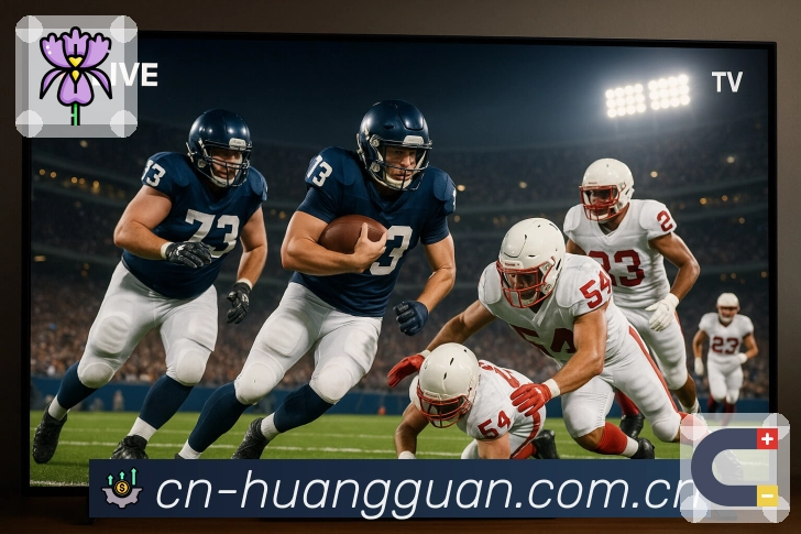 皇冠体育 背景图